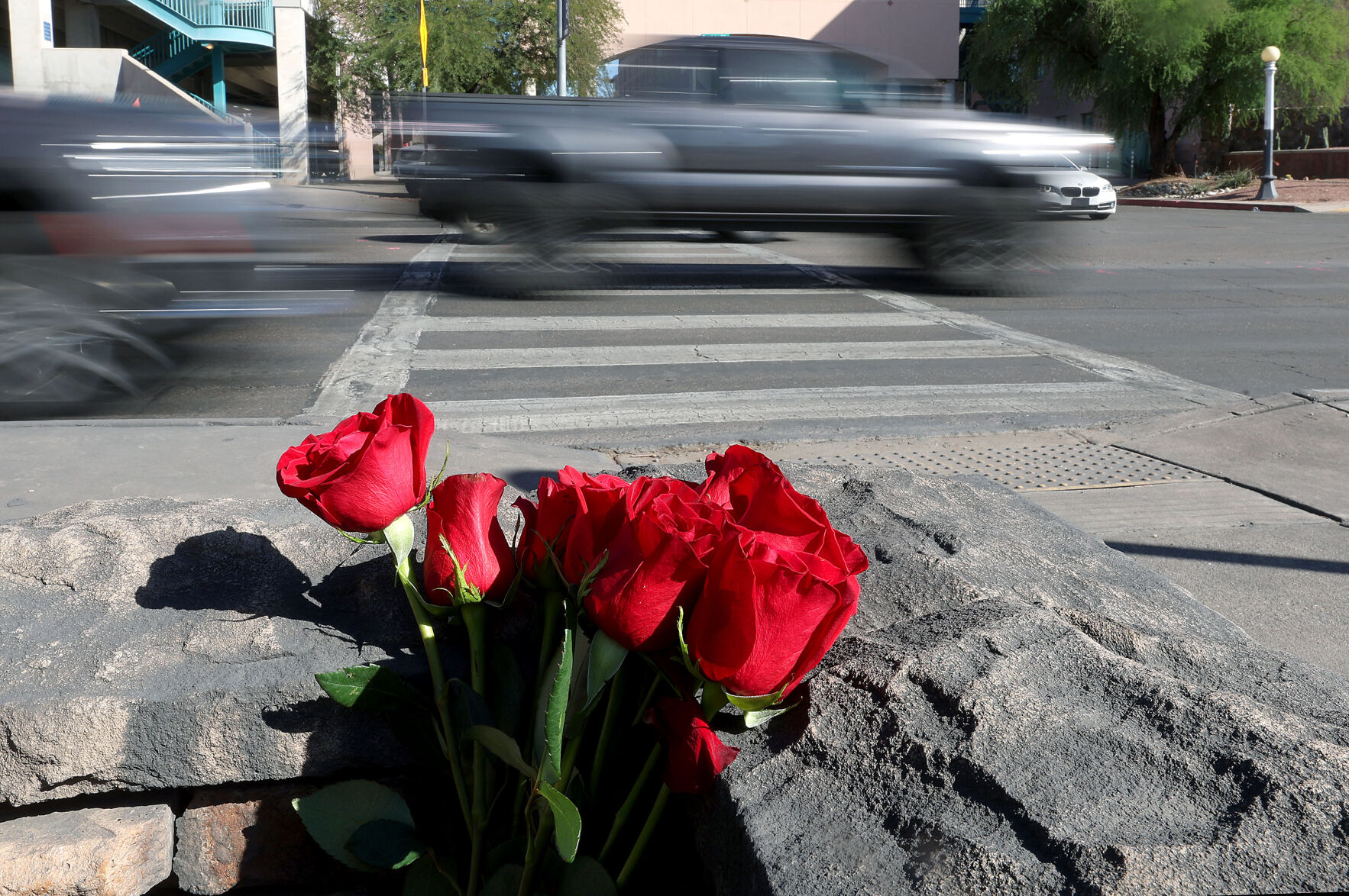 Fatal hit-and-run crash